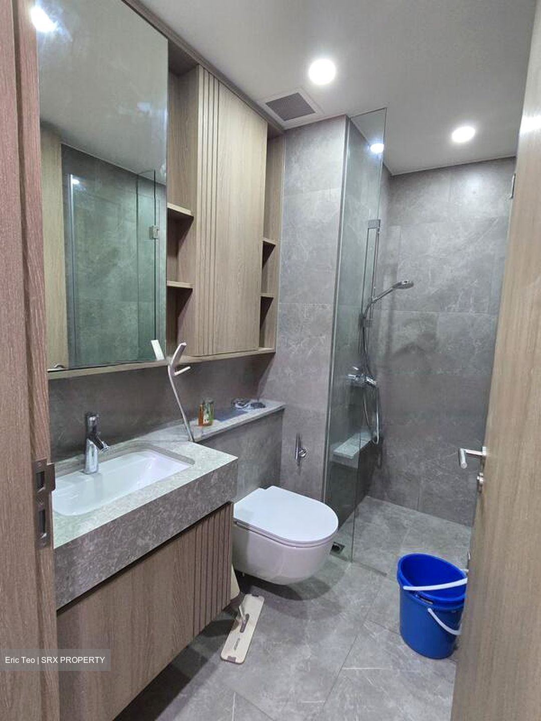 KI Residences at Brookvale (D21), Condominium #461828331